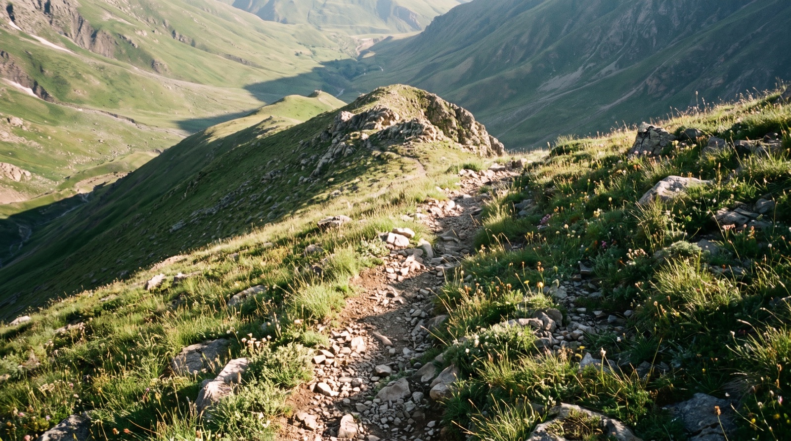 Hiking trails — Guided routes across the ridge, at whatever pace you keep.